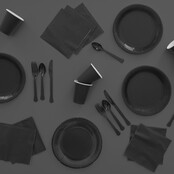 Plastic lepels zwart 24 stuks