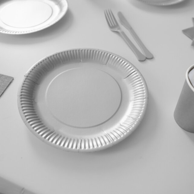 Papieren borden zilver 23cm 8 stuks
