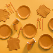 Plastic lepel oranje 24 stuks