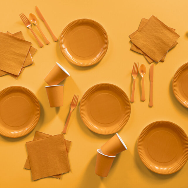 Plastic lepel oranje 24 stuks