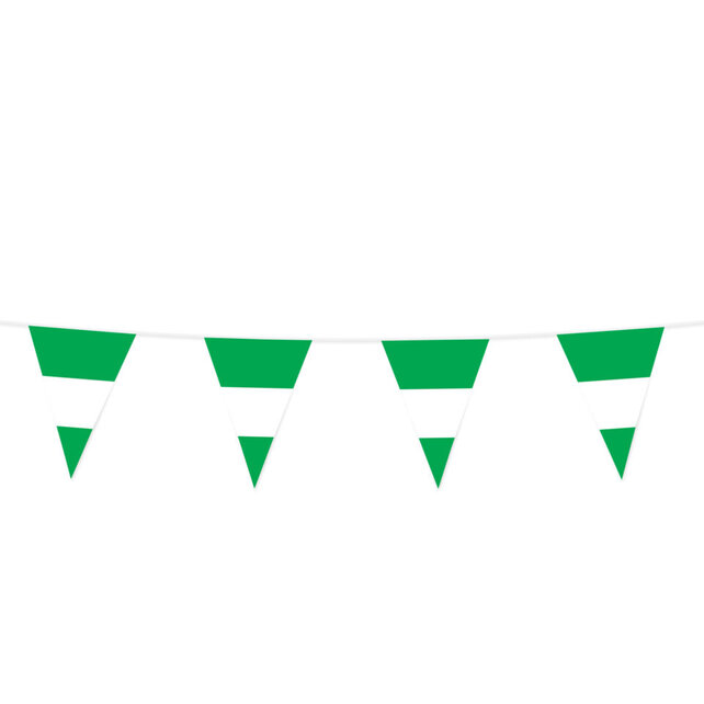 Vlaggenlijn Rotterdam Groen-Wit plastic 10 Meter