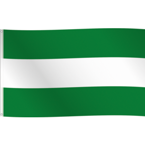 Vlag Rotterdam 150x90cm