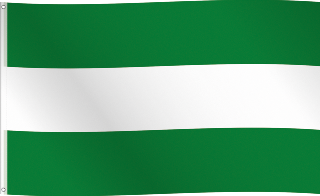 Vlag Rotterdam 150x90 cm – Groen-Wit Rotterdamse Stijl Vlag Rotterdam 150x90 cm – Groen-Wit Rotterdamse Stijl