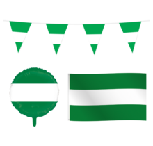 Rotterdam feestpakket S – vlaggenlijn, gevelvlag & ballon