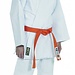 Aikidopak wit 0194
