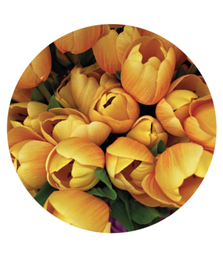 PREMIUMVINYLS Tulpen