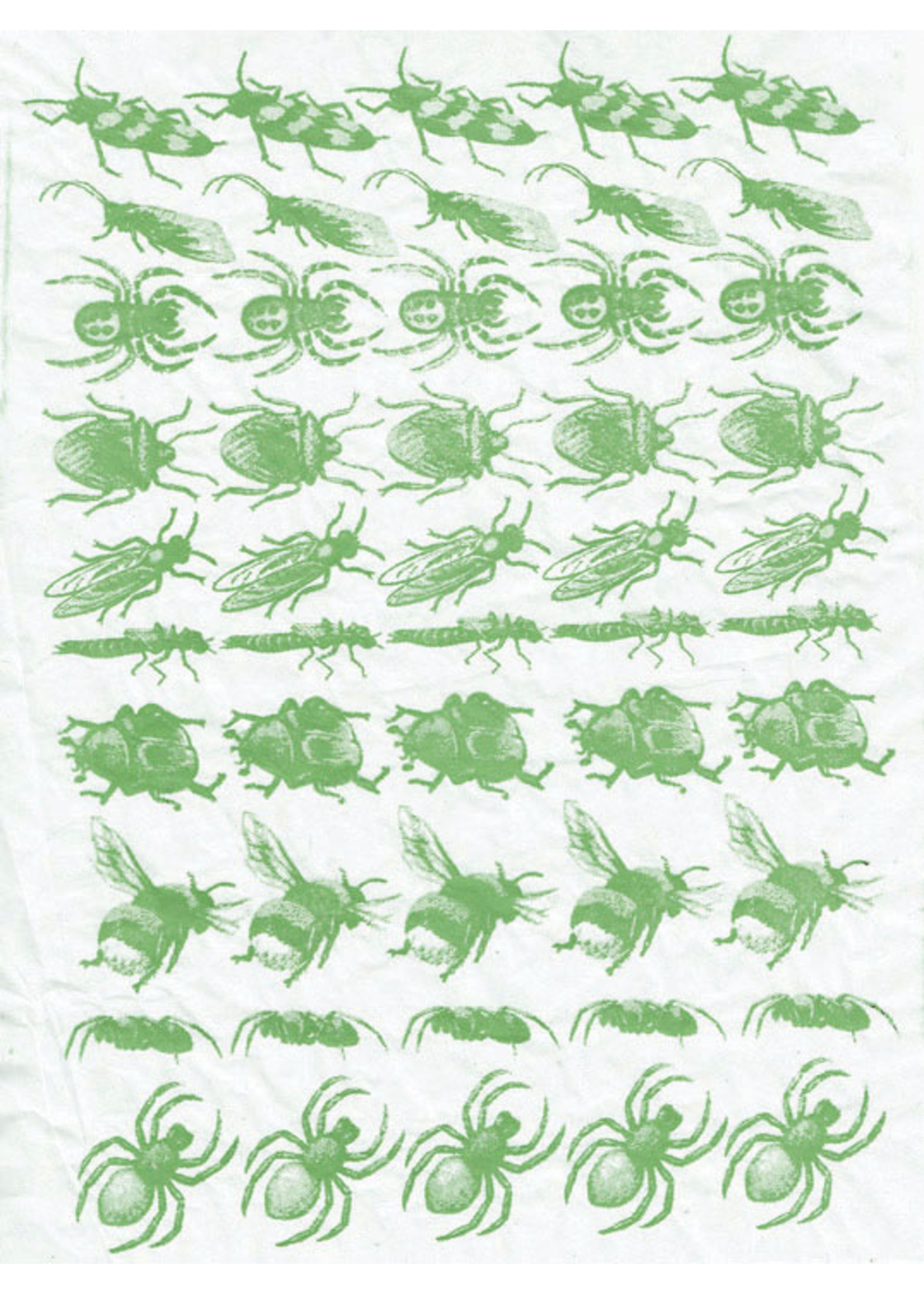Sanbao Insects decal 2 DIS