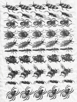 Sanbao Insects decal 2 DIS