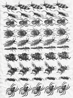 Sanbao Insects decal 2