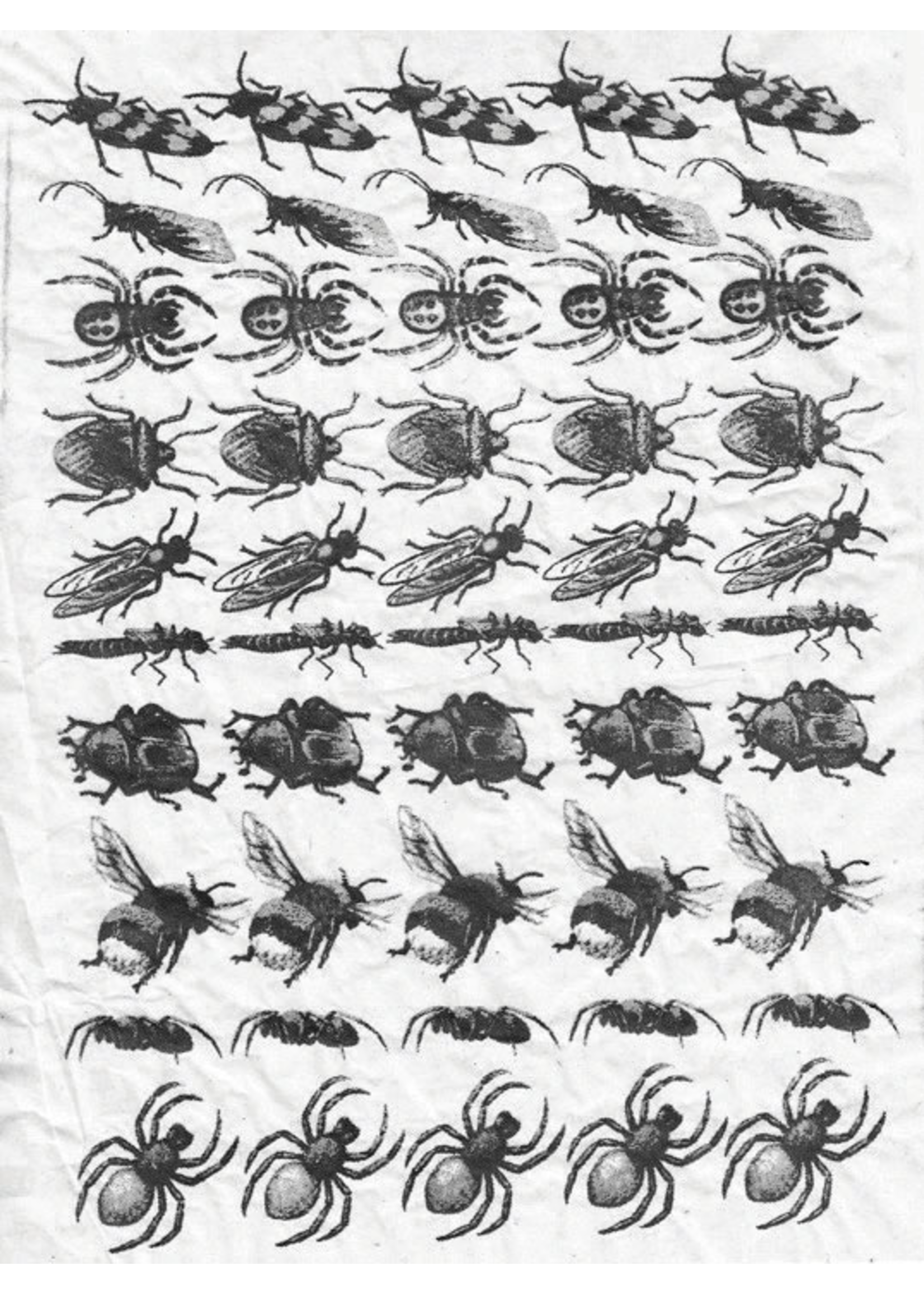 Sanbao Insects decal 2 DIS