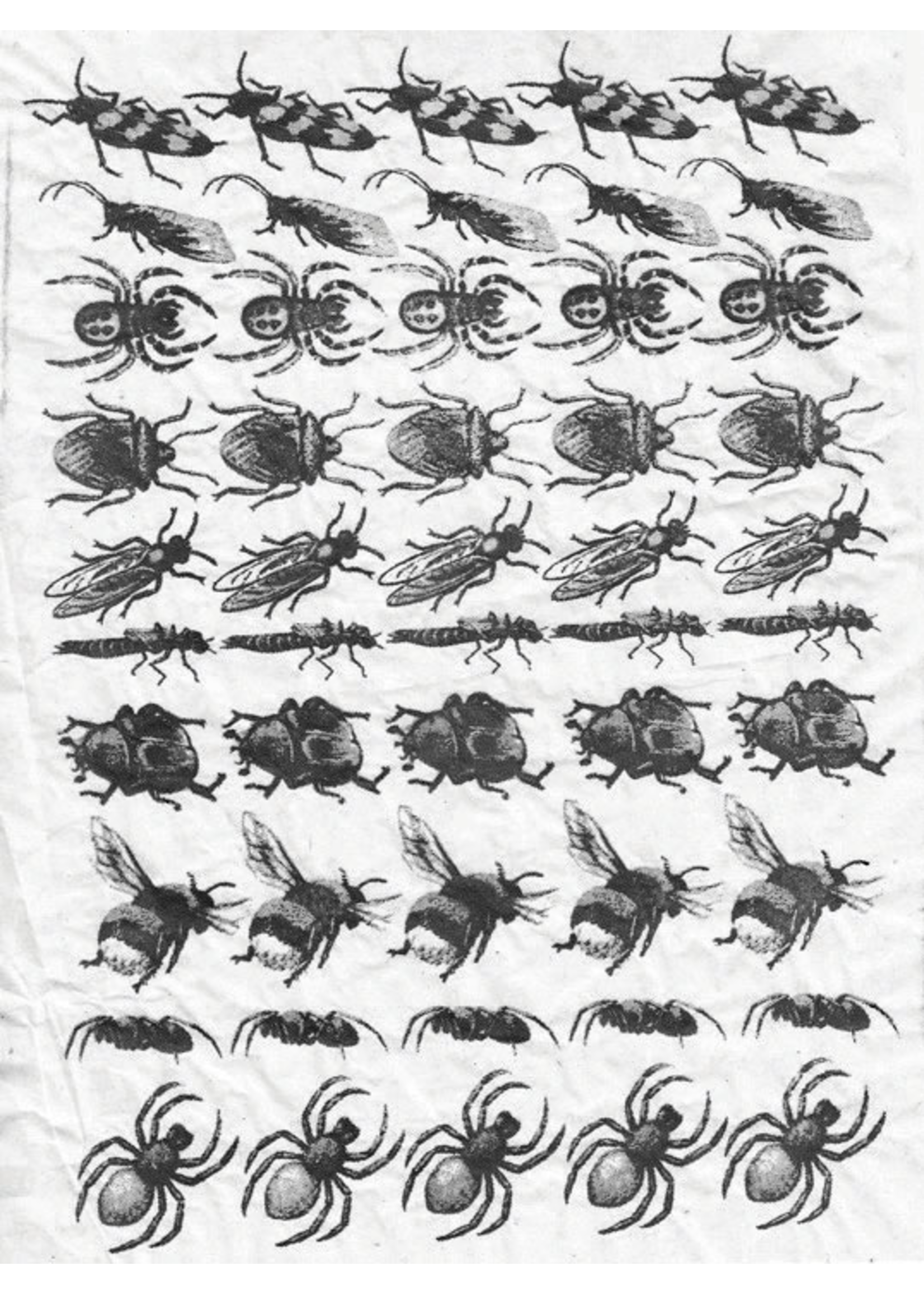 Sanbao Insects decal 2
