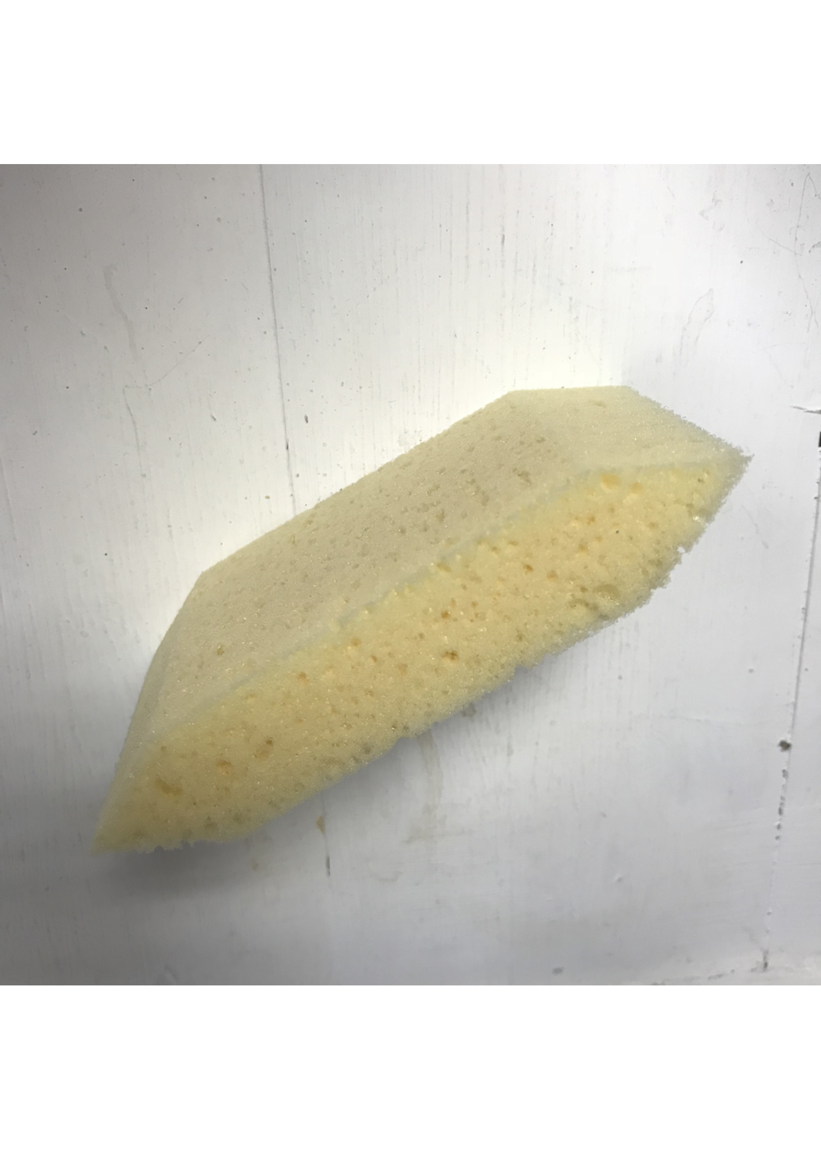 Sydney Heath Cup Handlers Sponge