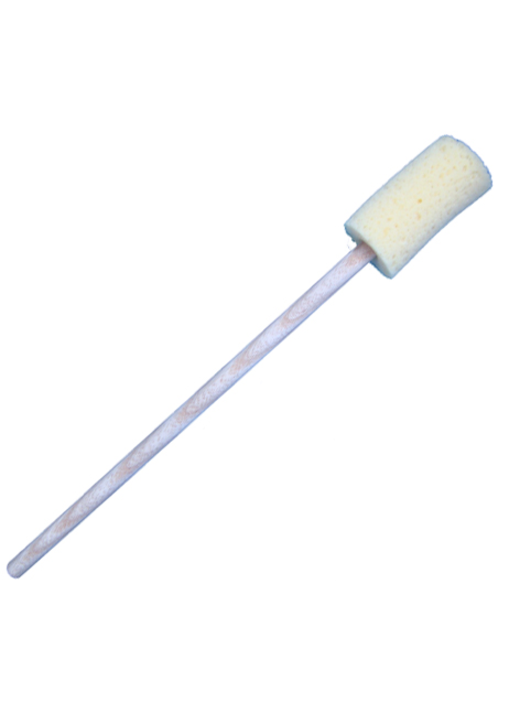 Sponge on a Stick (diddler)