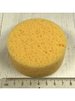 Round Sponge