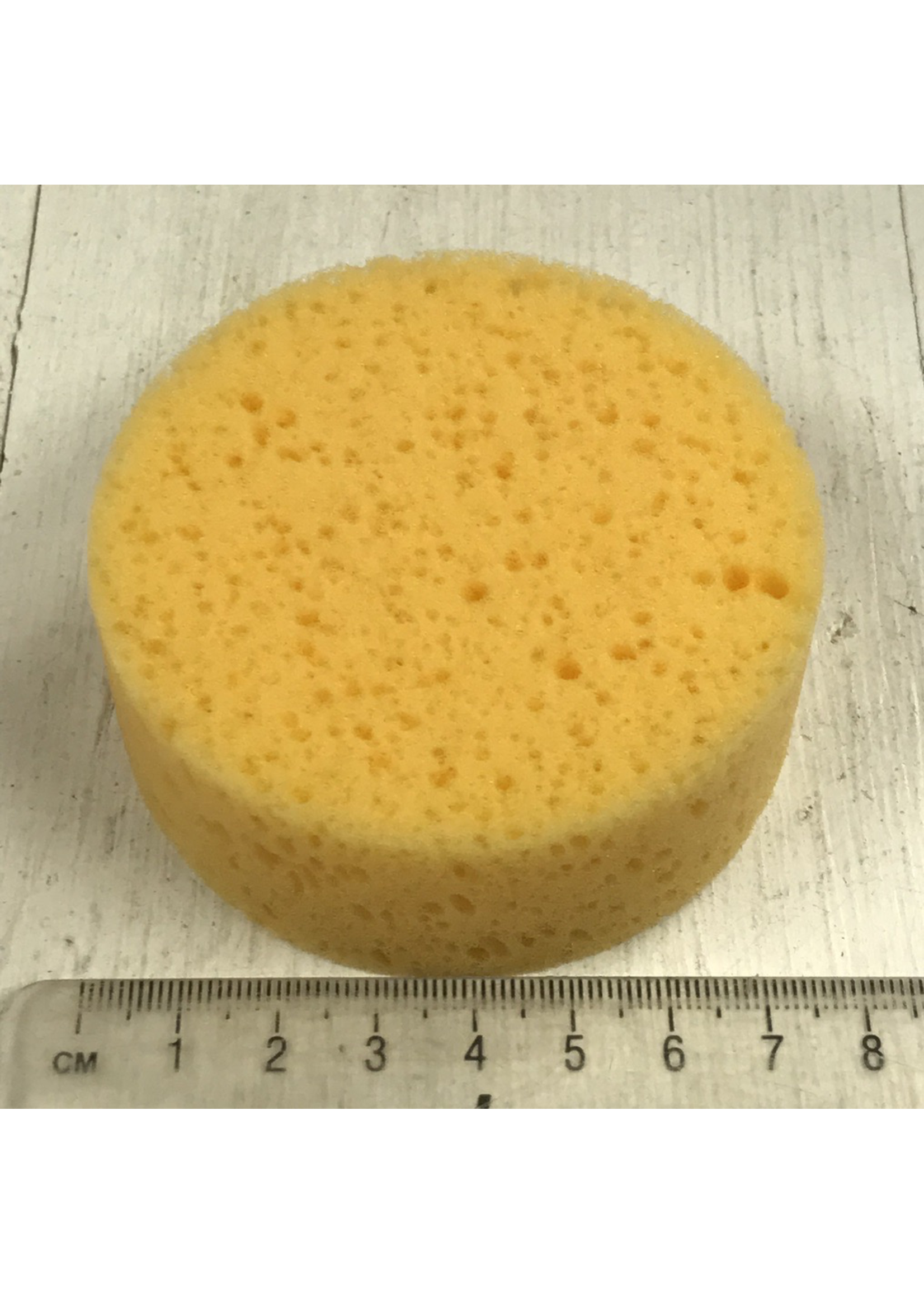 Sydney Heath Small round sponge