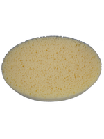 Oval Sponge