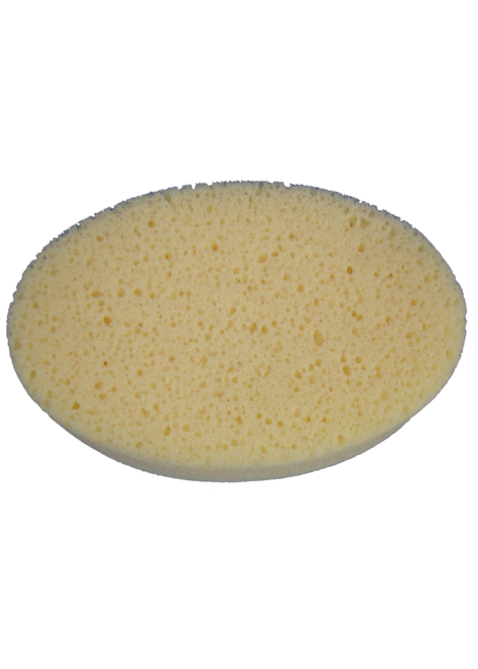 Sydney Heath Oval Sponge