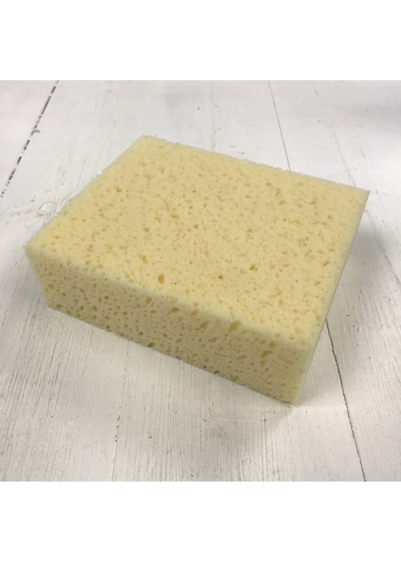 Sydney Heath Rectangular Sponge
