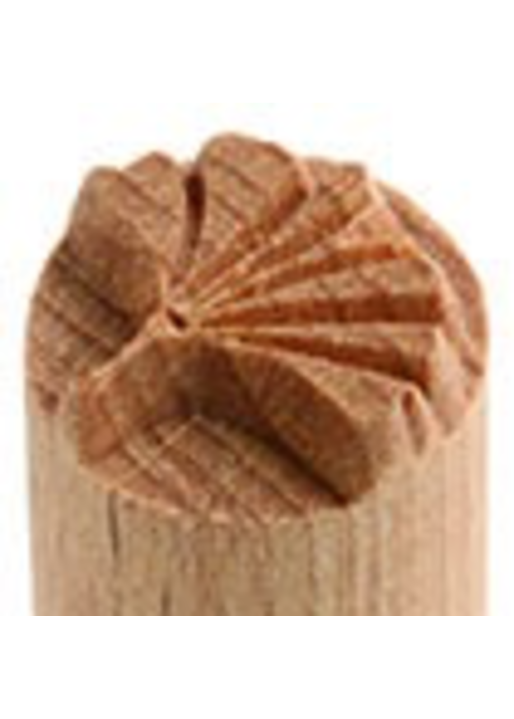 MKM tools Gingko Leaf Stamp