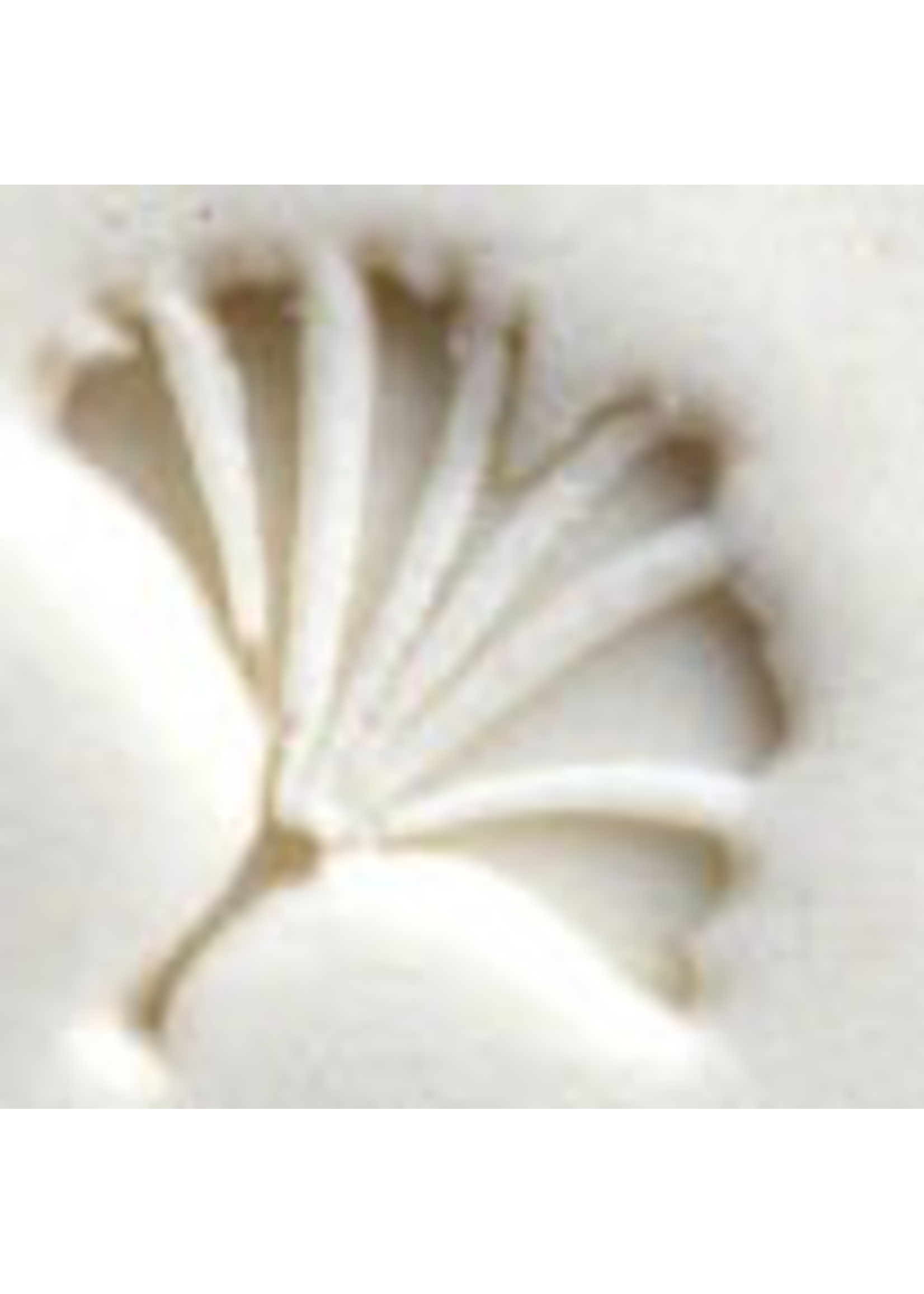 MKM tools Gingko Leaf Stamp
