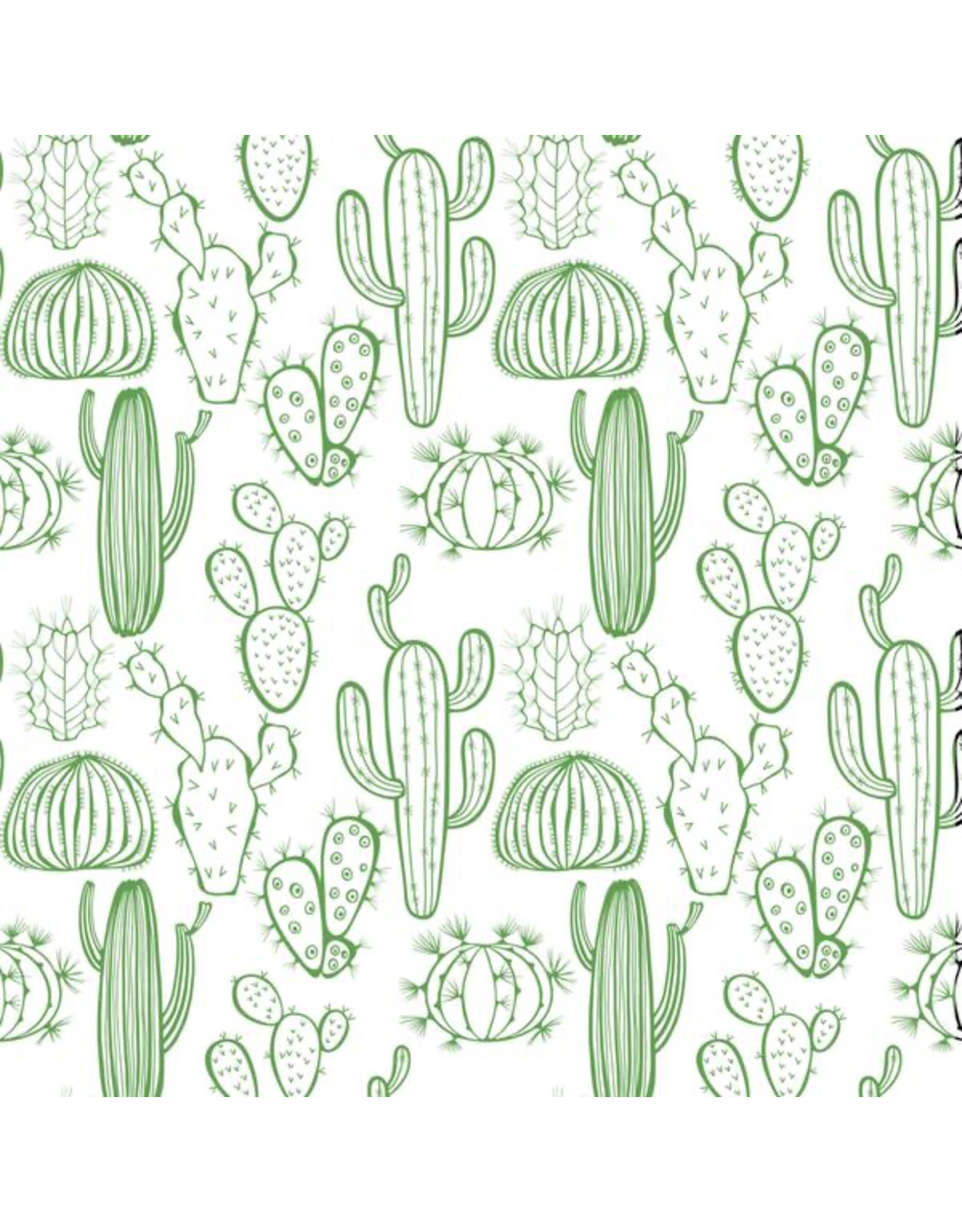 Sanbao Plants - Cactus