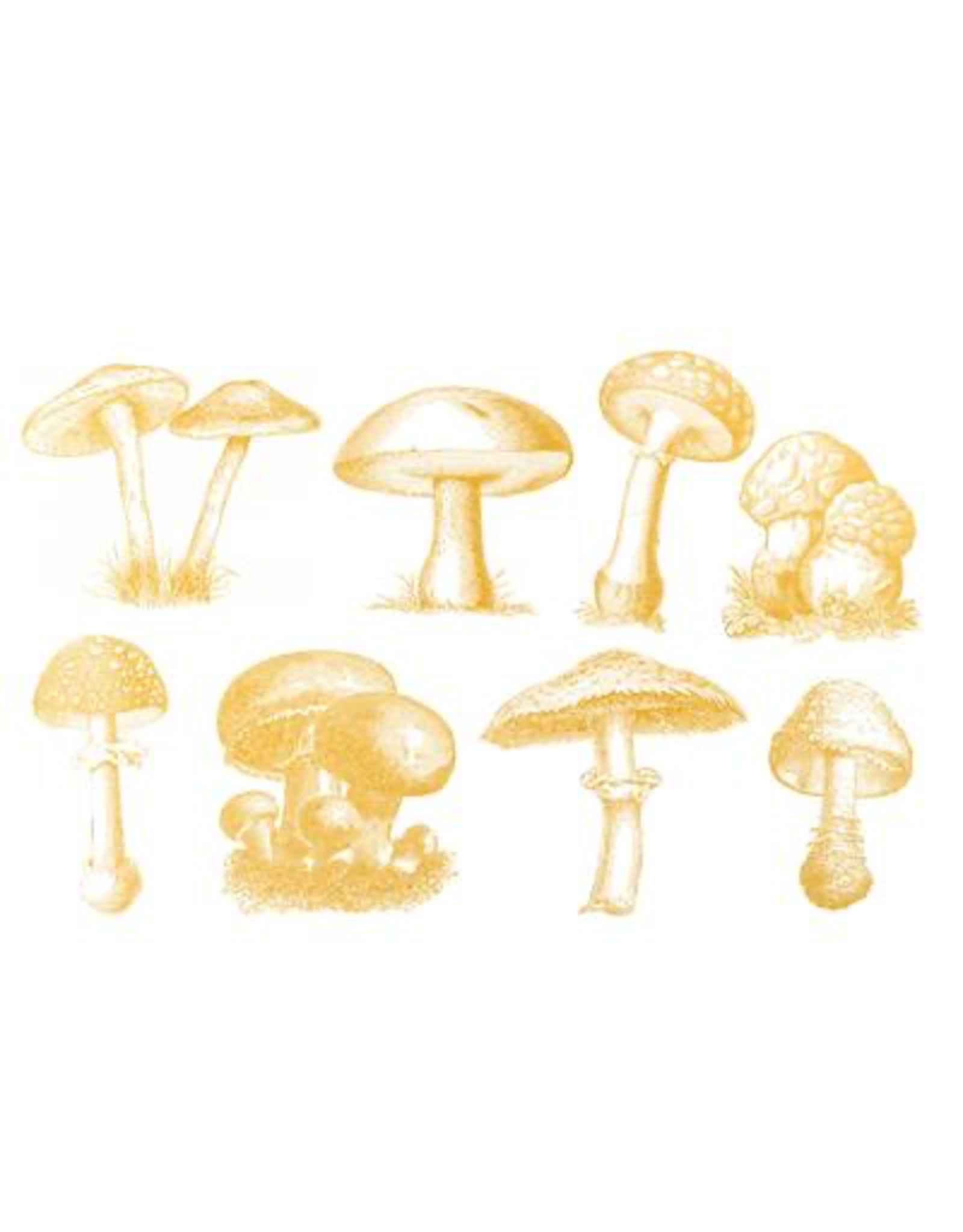 Sanbao Gold Wild Mushroom