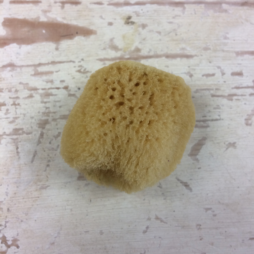 Natural Sponge, small