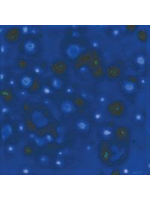 Mayco Lagoon Blue 473ml