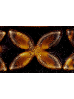 Amaco Aventurine