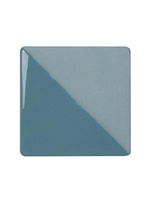 Speedball Turquoise 473ml
