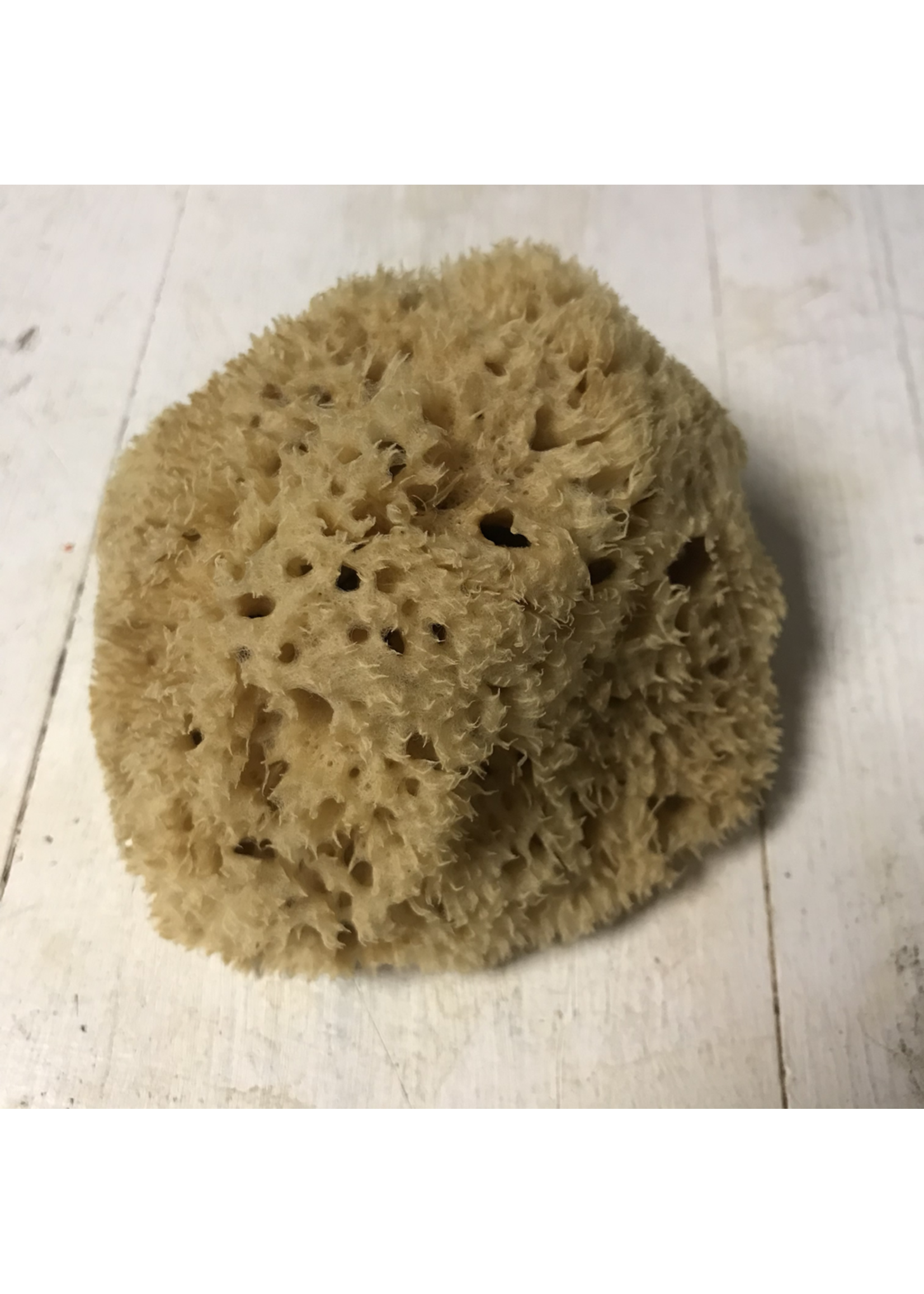 Royal & Langnickel Natural sponge 12 cm