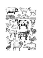 Sanbao Farm Animals