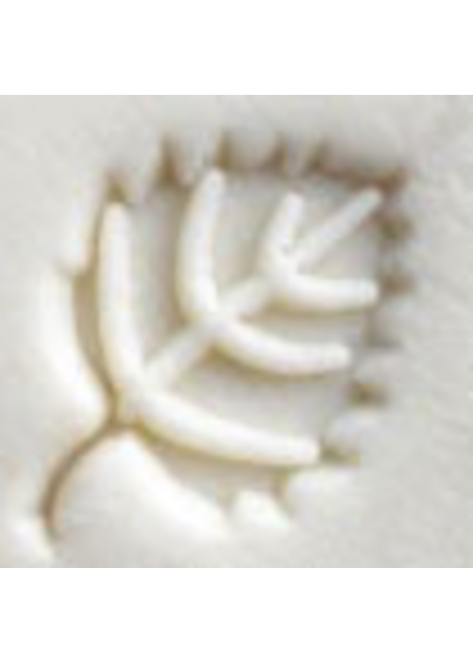 MKM tools Beech leaf Stamp Design 060 (1.5cm)