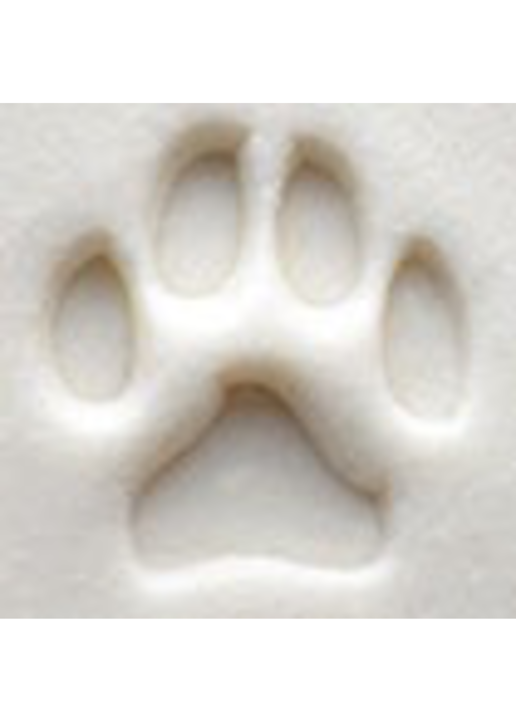 MKM tools Dogs Paw Stamp Design 001 (1.5cm)