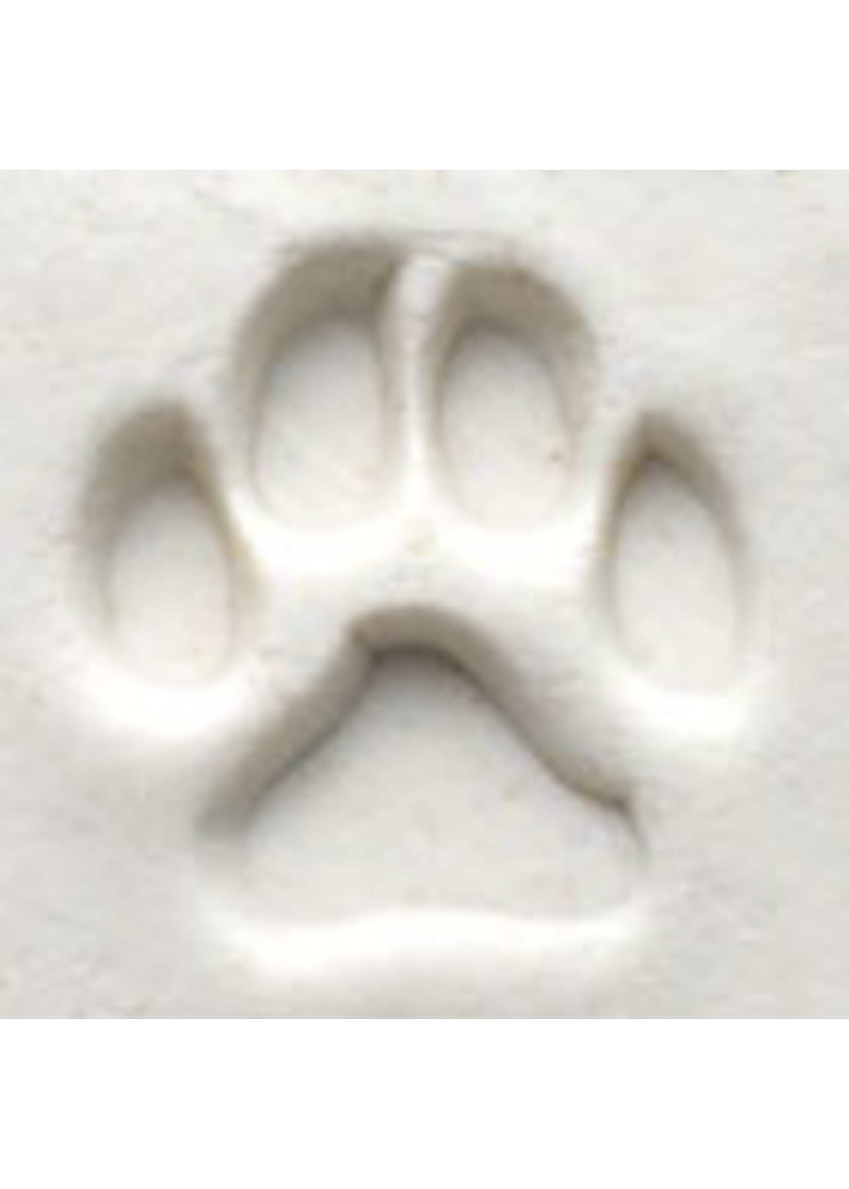 MKM tools Dog Paw stamp (2.5cm)