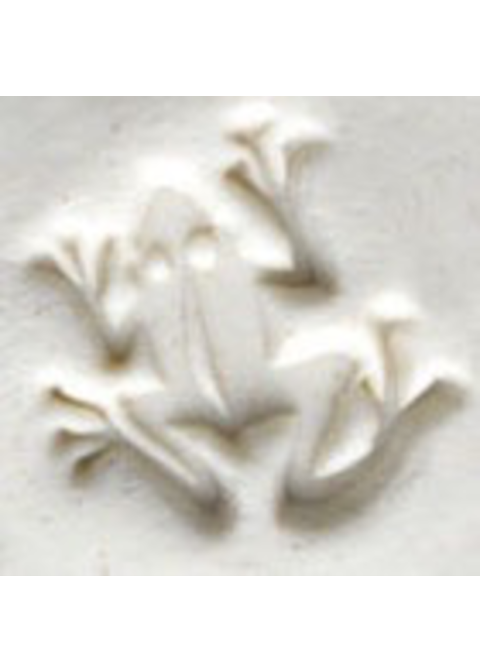MKM tools Frog stamp (2.5cm)