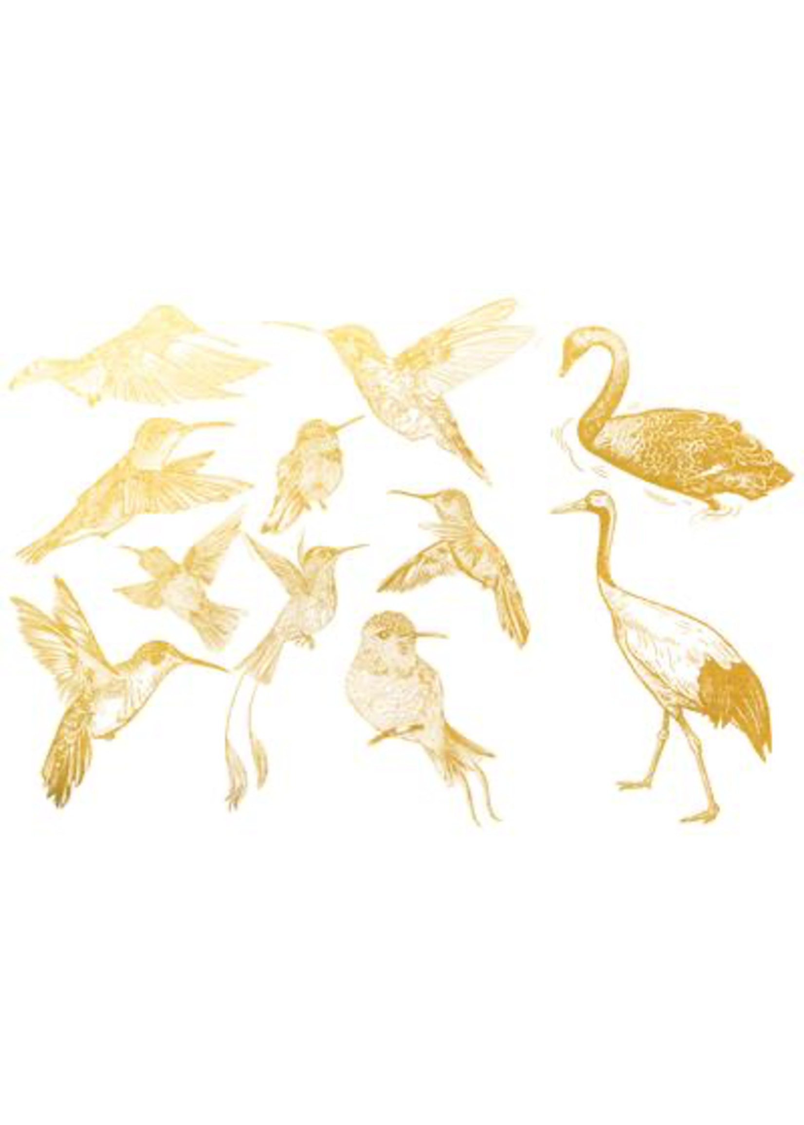 Sanbao Gold birds 2