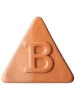 Botz Florida Stoneware Engobe 200ml