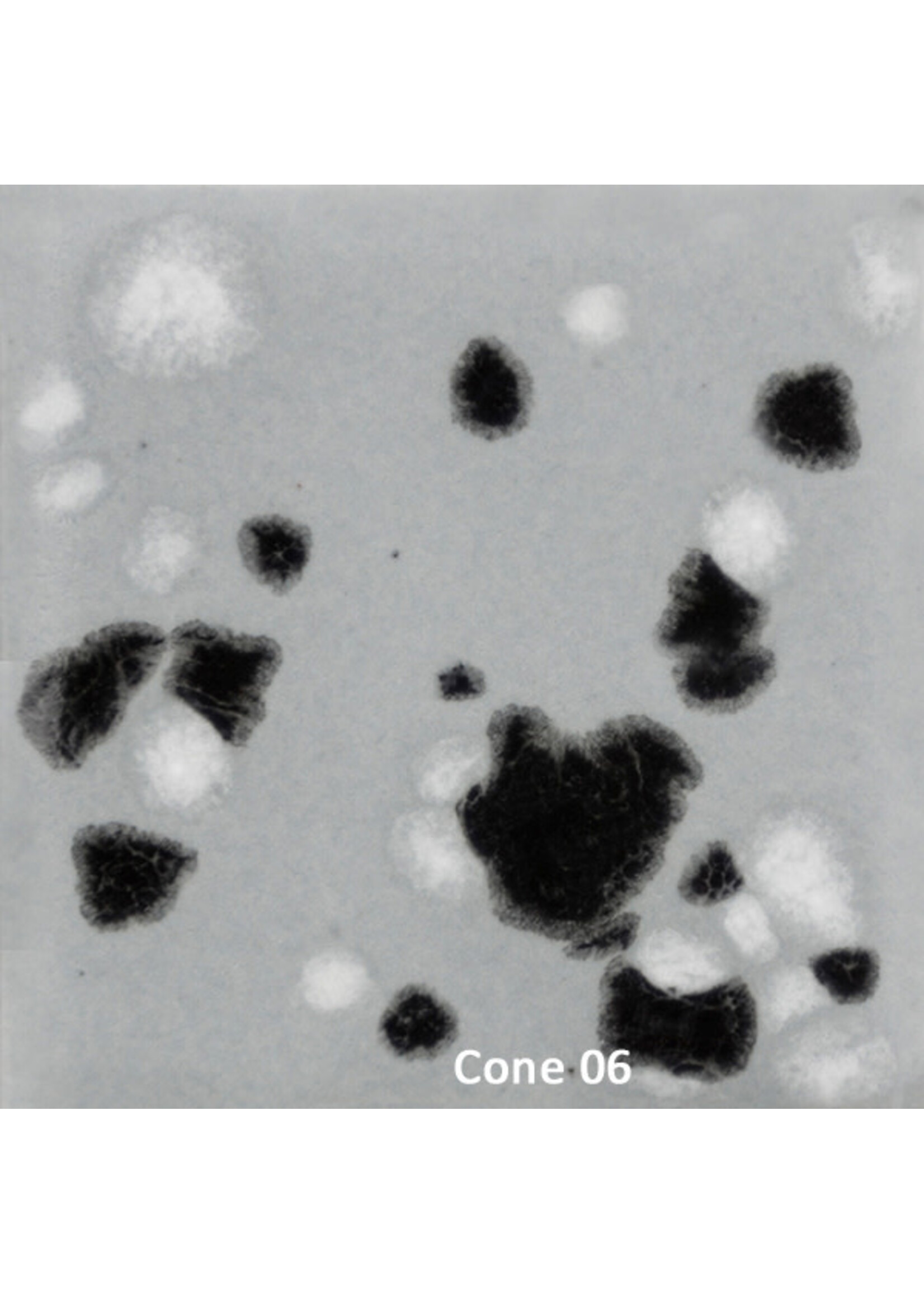 Mayco Asteroid