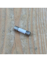 Ceramic Fuse 3.15A (Anti-surge) 20x5mm