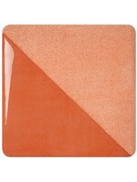 Speedball Burnt Orange 59ml