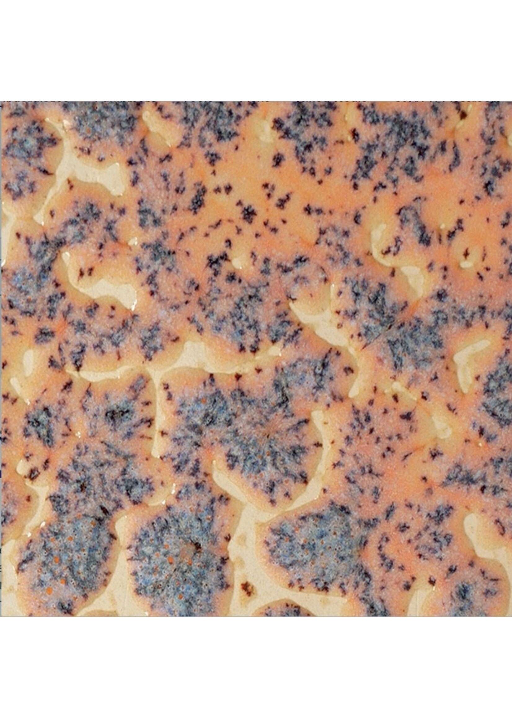 Amaco CR-18 Speckled Flux Crawl 473ml