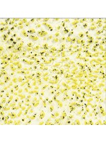 Amaco Speckled Yellow Crawl