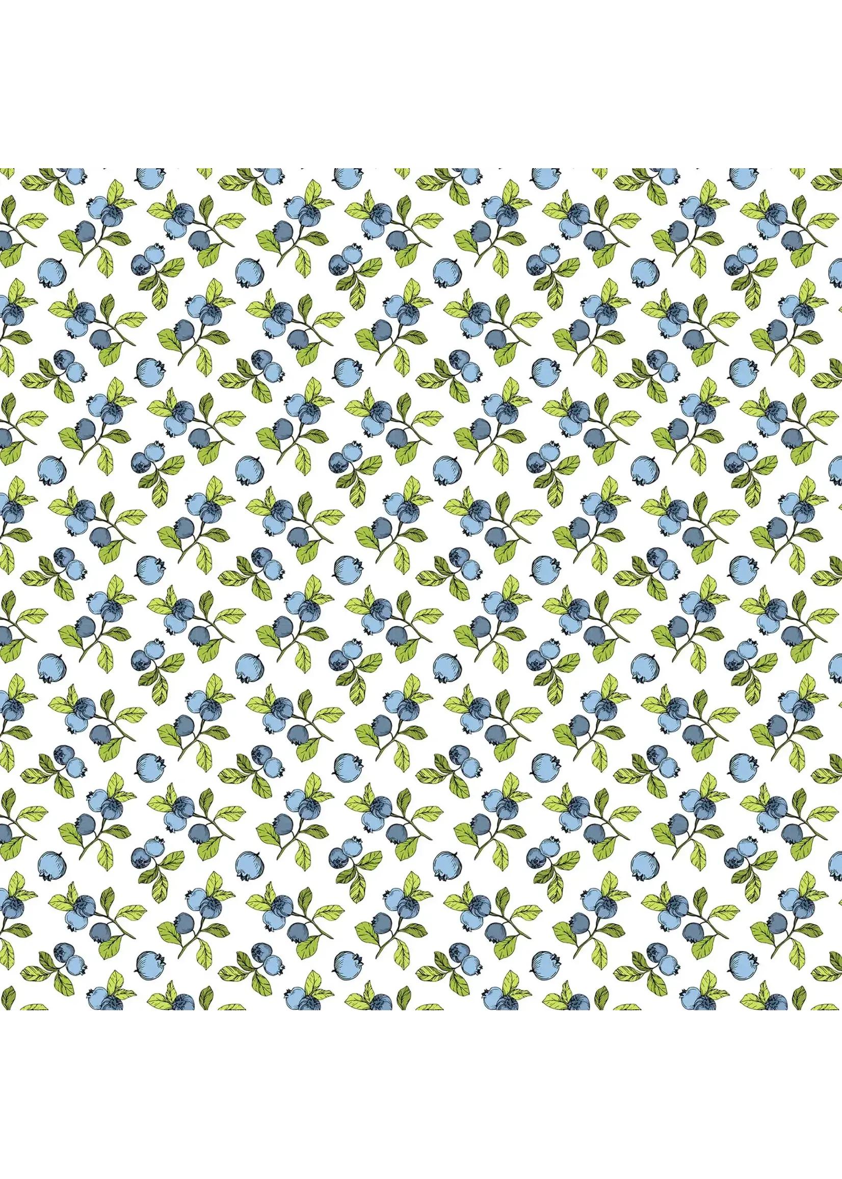 Sanbao Blueberry 48 x 33cm