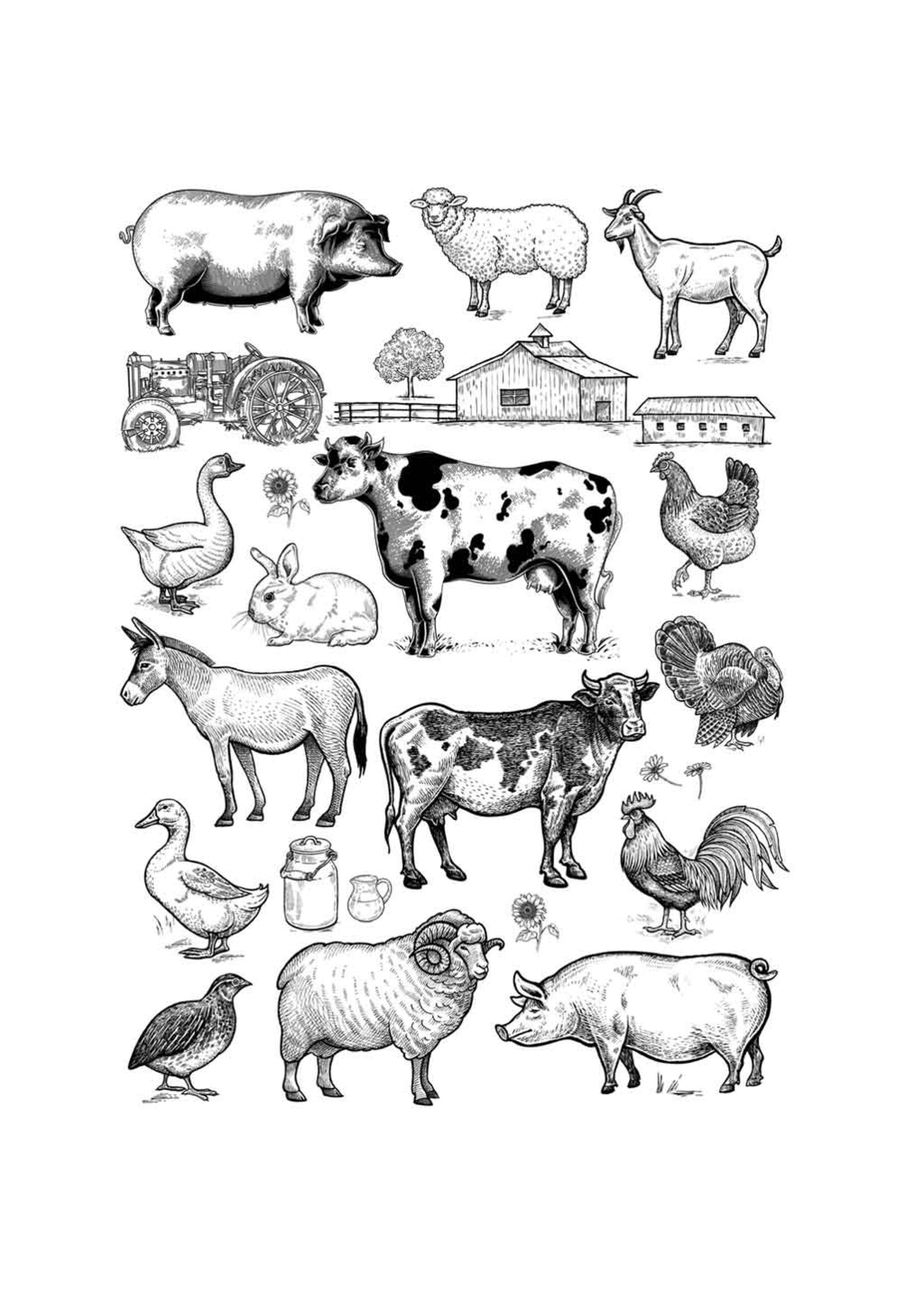 Sanbao Farm animals