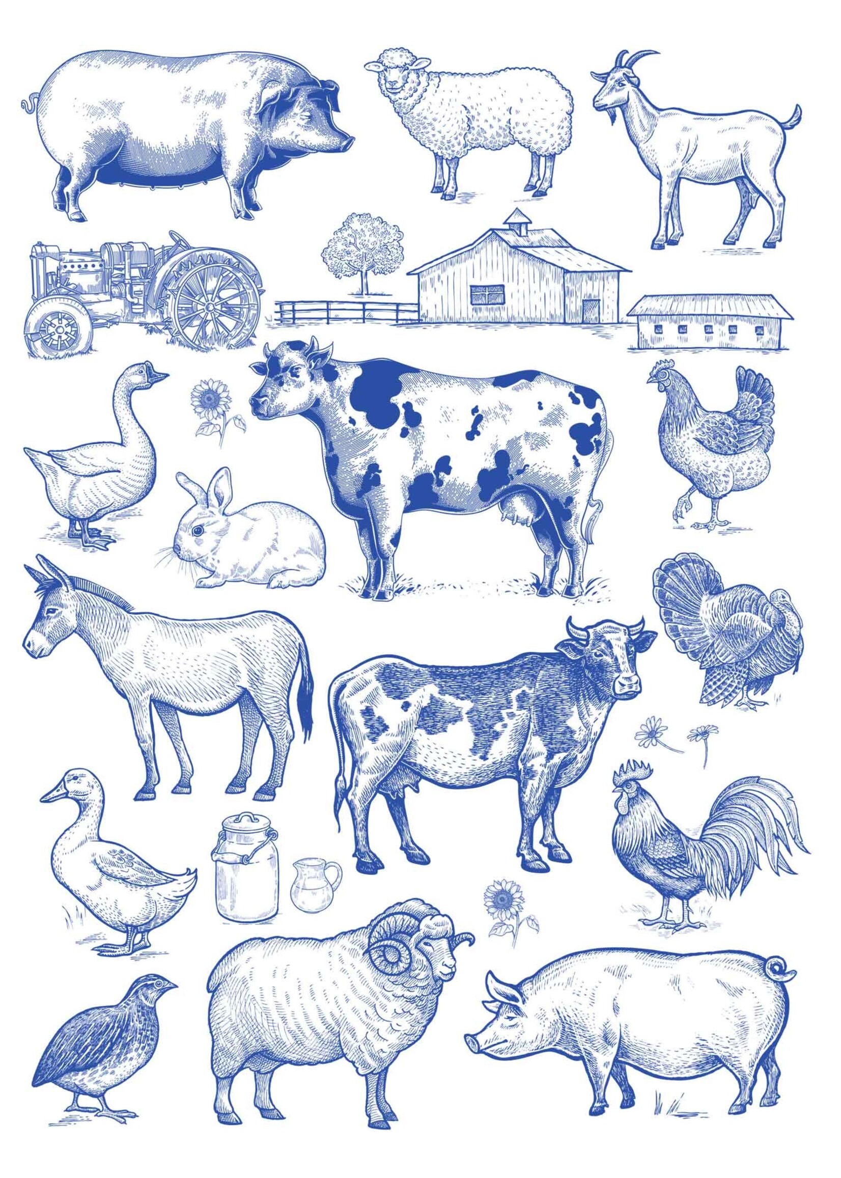 Sanbao Farm animals
