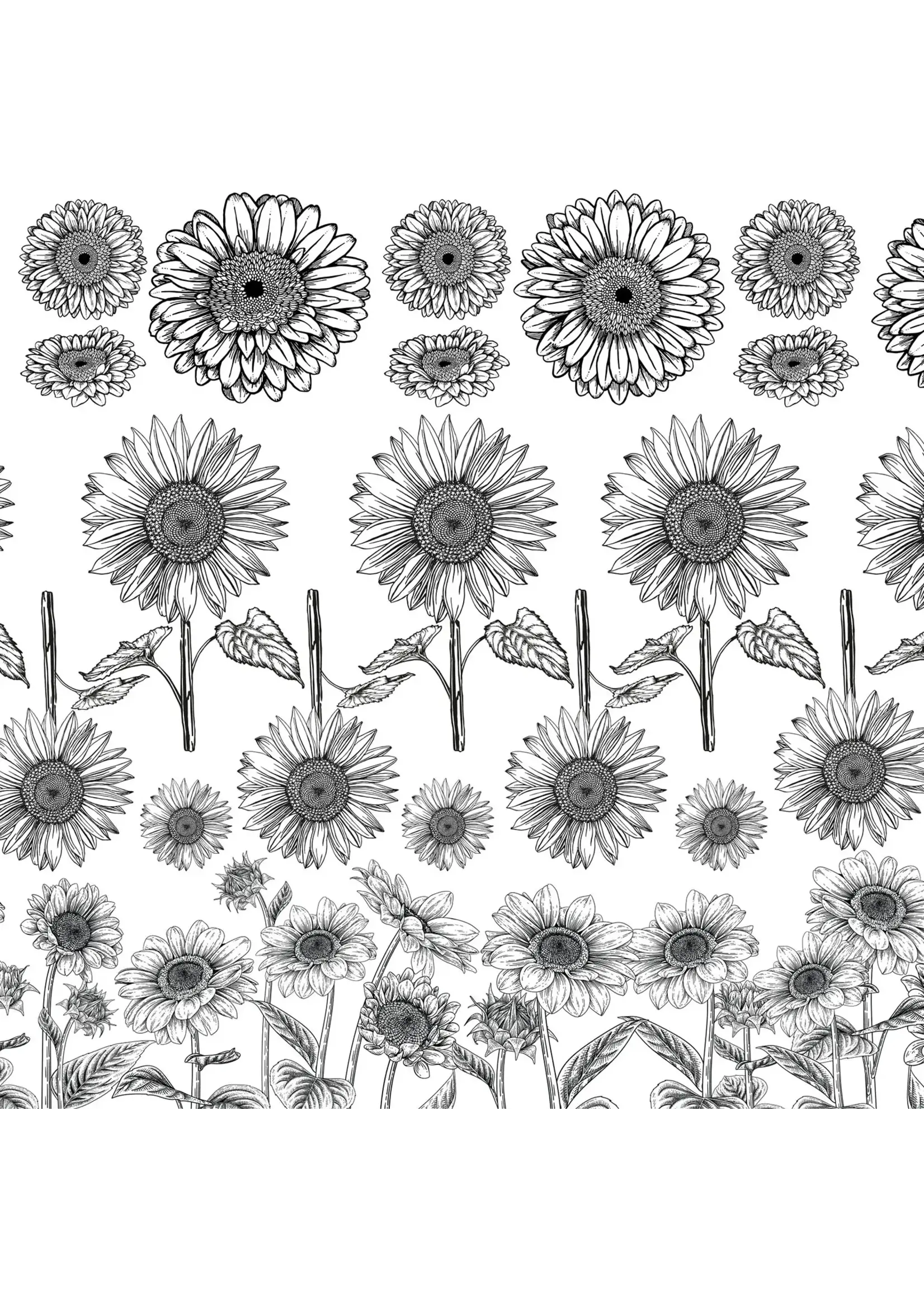 Sanbao Sunflower Field (48 x 33cm)