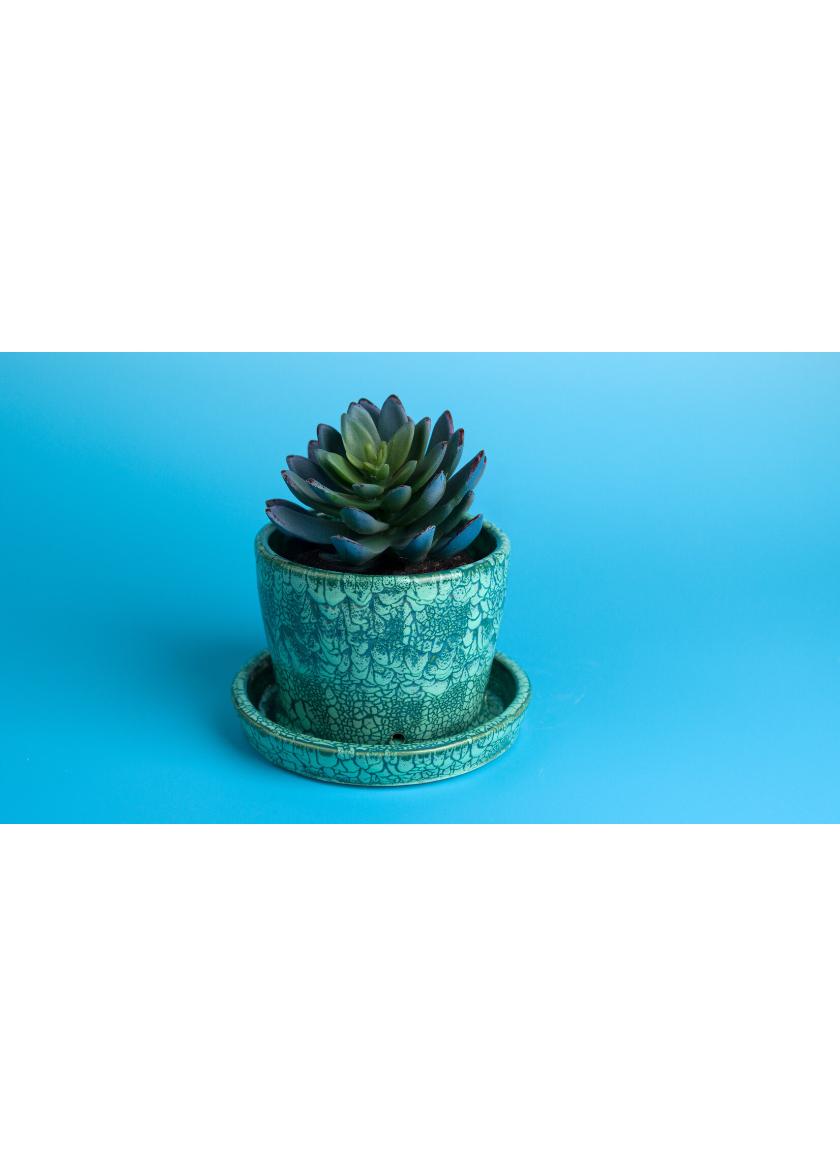 Mayco Ritual Glaze White Bead 473ml