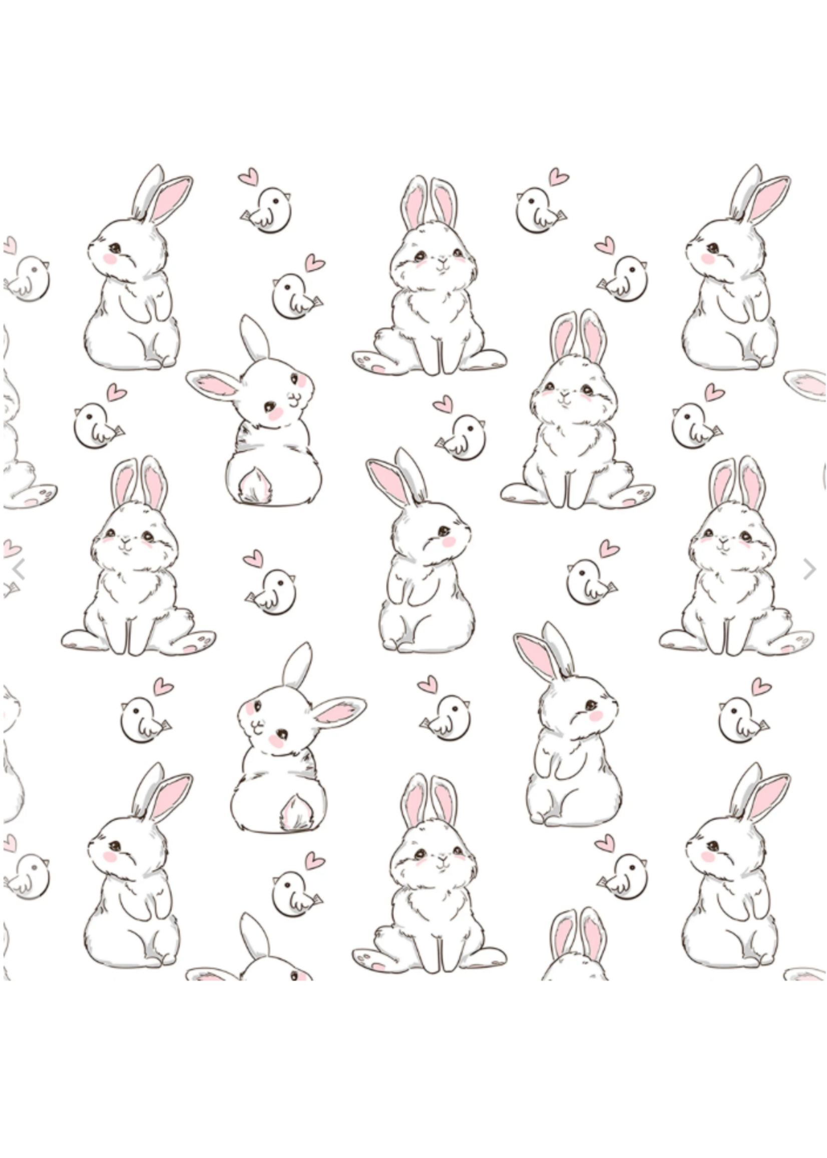 Sanbao Cartoon Rabbit & Chick ( 48 x 33cm)