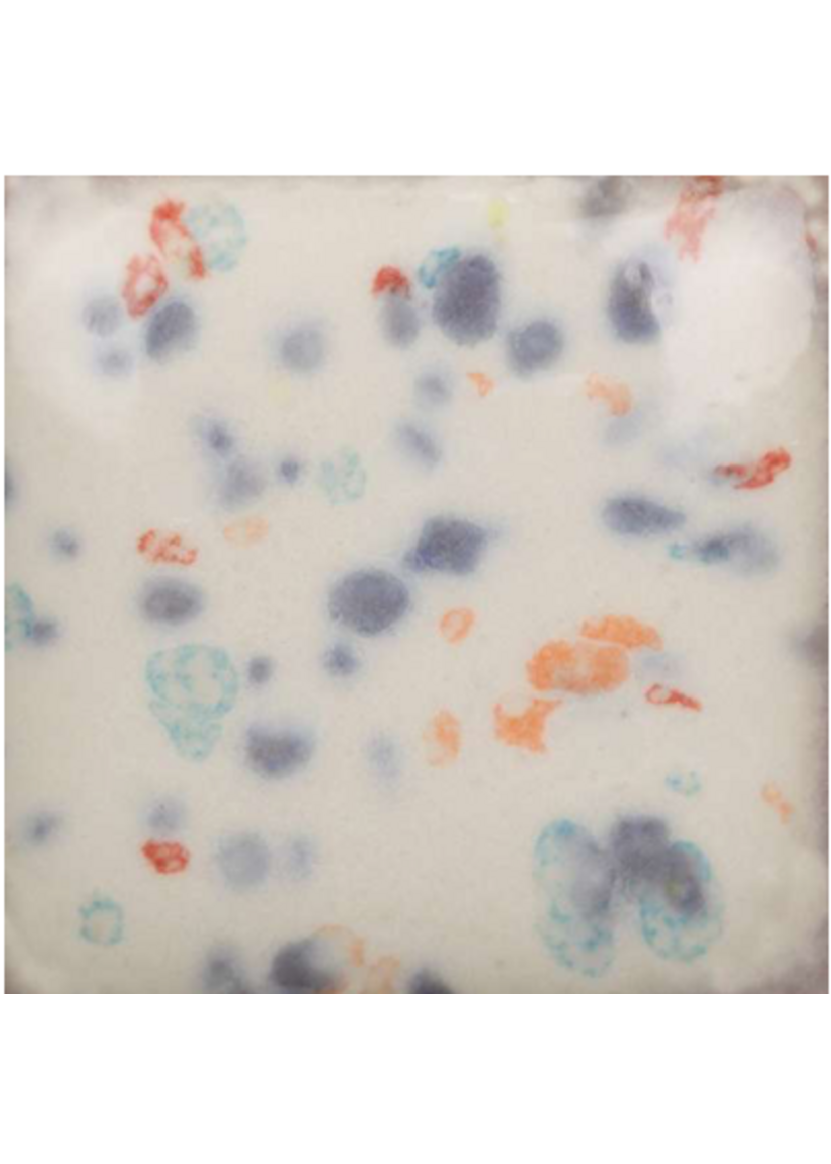 Mayco Speckled Old Lace Stroke and Coat 59ml